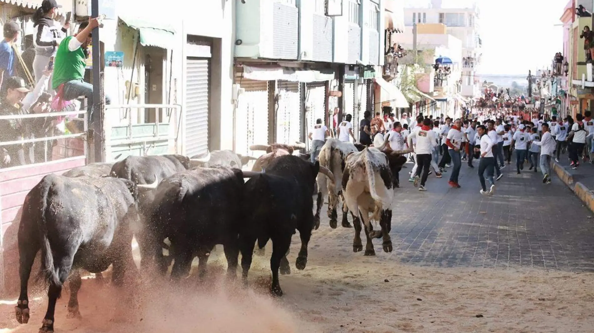 ENCIERRO HUAMANTLA 4